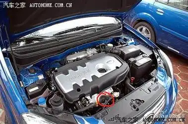 氧传感器的位置在哪?