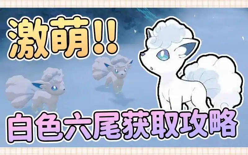 【阿尔宙斯攻略】超可爱白色六尾获取攻略6014|六尾捕获地点