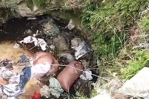 山东临沂一偏远小村惊现尸块 系盗墓贼起争执后杀同伙