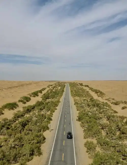 这是塔克拉玛干沙漠,公路两侧的防沙林,绵延500多