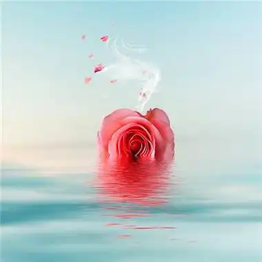 2023年带来健康好运的头像(精选24张)