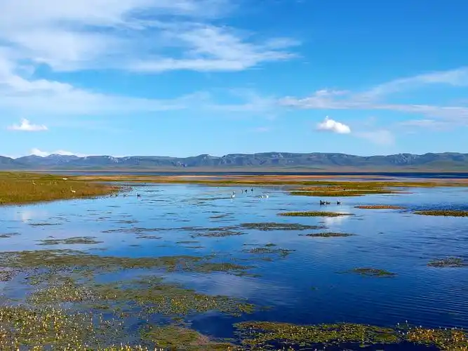 甘南藏族自治州碌曲的尕海湖. - 美篇