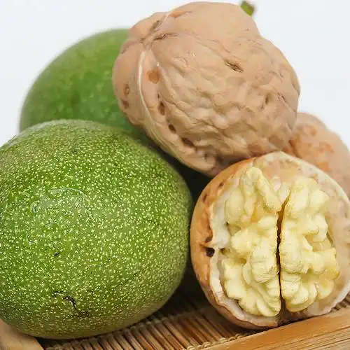 当季现摘新鲜青皮核桃3斤