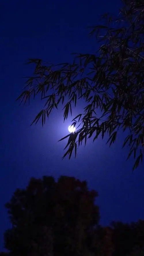 寂寞的夜晚月亮陪着你入睡