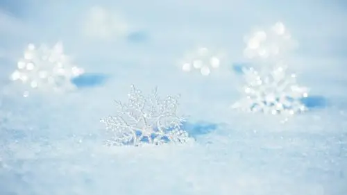 白色的雪花-冬季特写高清壁纸 - 1920x1080 壁纸 下载