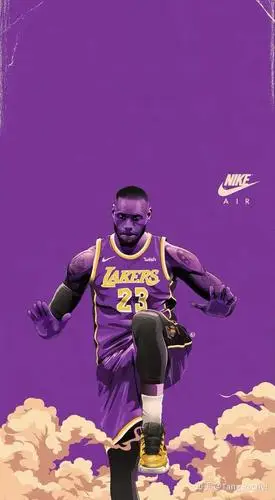 我只想说我勒布朗的霸王步,附上我手机壳和屏保的同款图 詹姆斯mvp