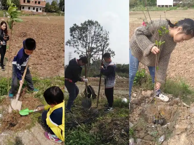 植树节,给地球一点色彩,一起行动起来吧!