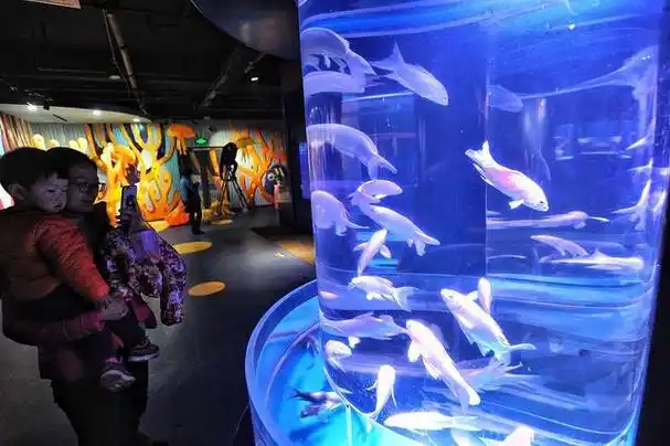 蚌埠海贝海洋乐园:一个充满海洋奇趣的乐园