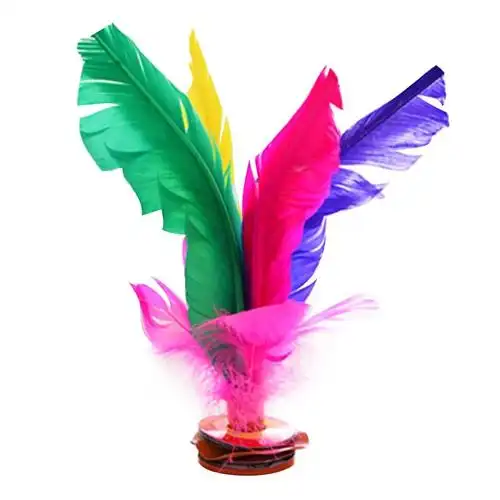 鸡毛毽子大集合成人儿童健身 彩色鹅毛毽球小学生比赛大花毽