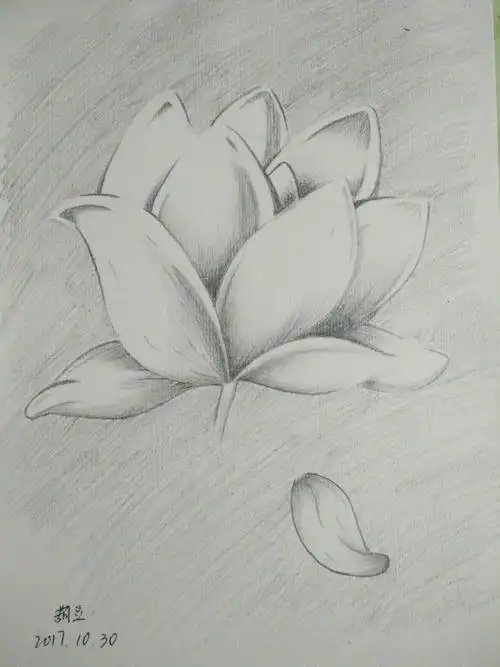 给你一朵小花花