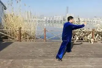 好看视频发布时间:2021-04-2901:41:1824式太极拳演练教程陈思坦24