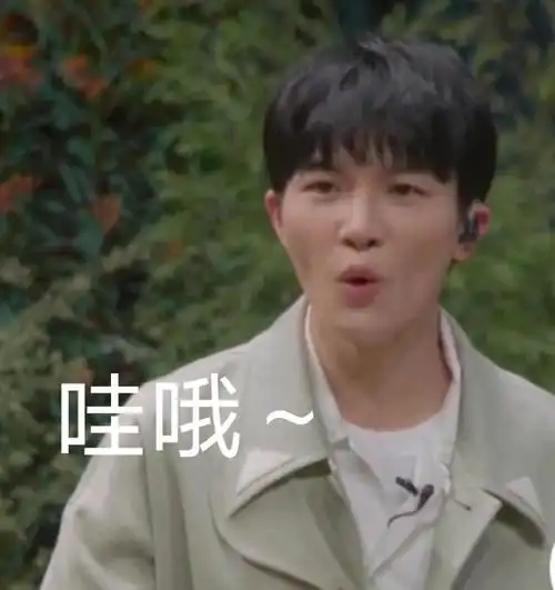 时光音乐会周深表情包第一期第四弹