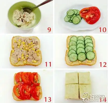 金枪鱼三明治的做法步骤_3