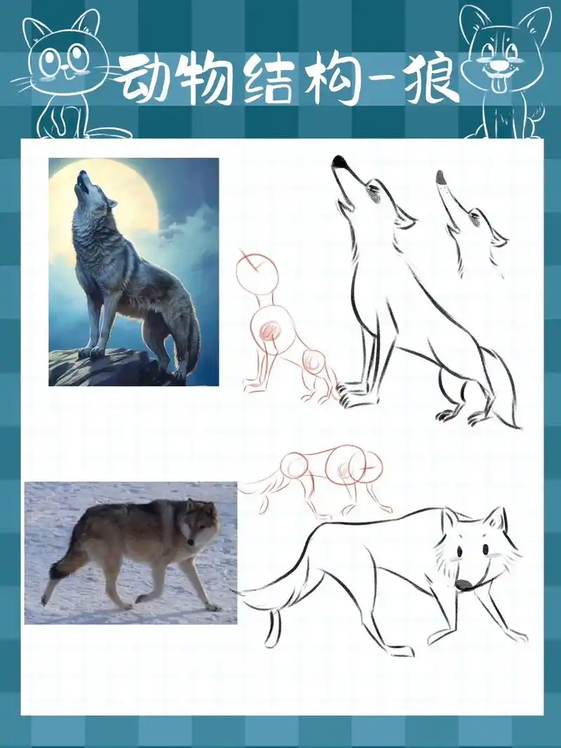 插画教程动物篇-狼的画法.今天运用了夸张比例,很有角色设计的 - 抖音