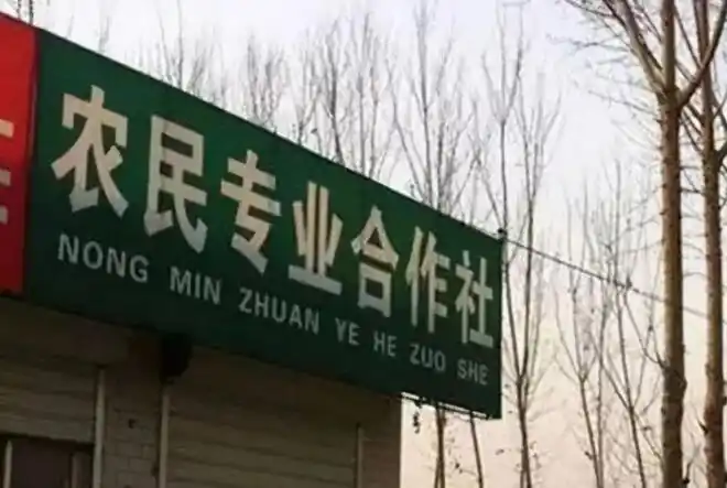 车江大坝笼罩一层薄薄的白雾,在阳光蔬菜种植农民专业合作社的基地里