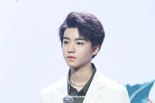 王俊凯×2018.12.17 飘柔新品见面会×cr:logo