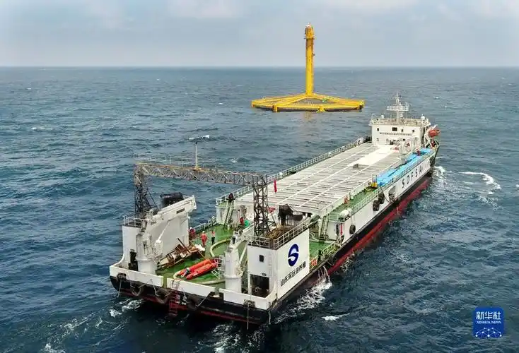 我国首批大西洋鲑喜获丰收海上粮仓渐入深蓝