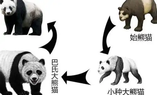 战神蚩尤的坐骑传说中的食铁兽史前大熊猫如此强悍吗