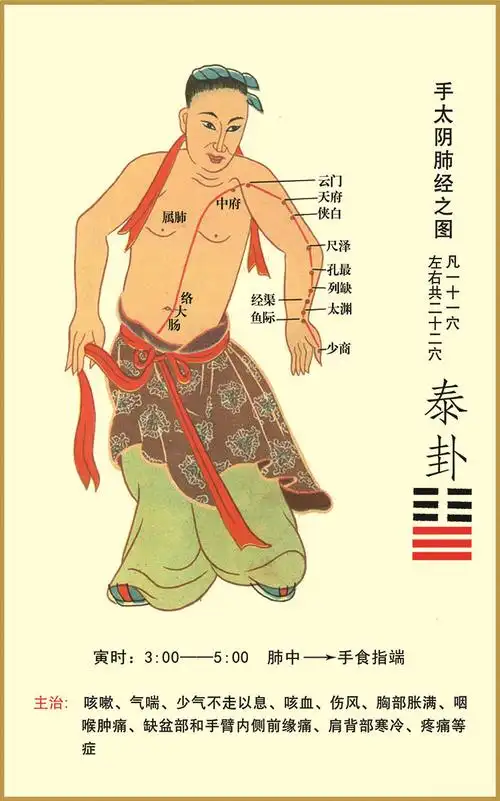 【lism】古代12十二经络经脉穴位图示意图解参照图片中医院中医养生馆