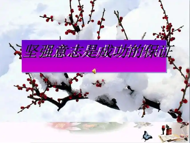 坚强意志是成功的保证优秀课件1(30页)-原创力文档