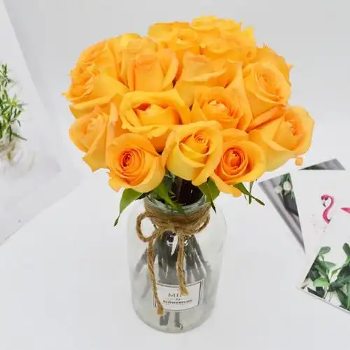 基地直送-18朵假日公主 送2朵