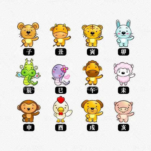 常生肖代表羊吗2