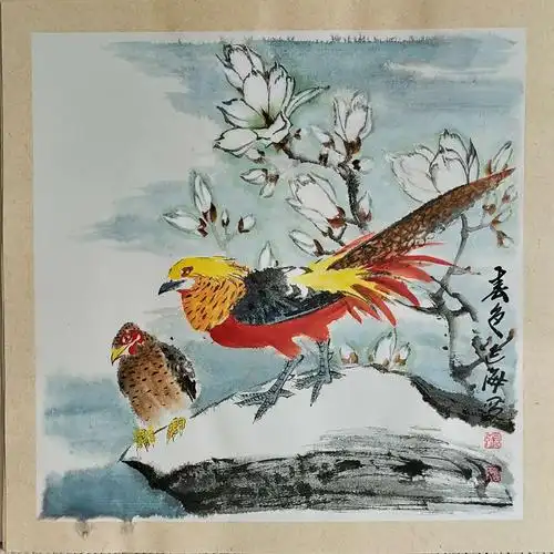 张延海先生中国画写意锦鸡作品欣赏