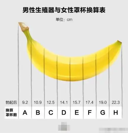 中国男性阴茎长度标准是多少?