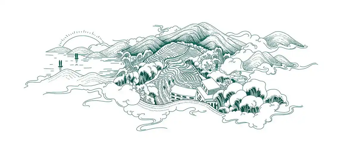 福建茶山插画
