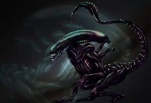 《异形》:谁是谁的造物主?人类的梦魇异形原来是这种东西_网易订阅