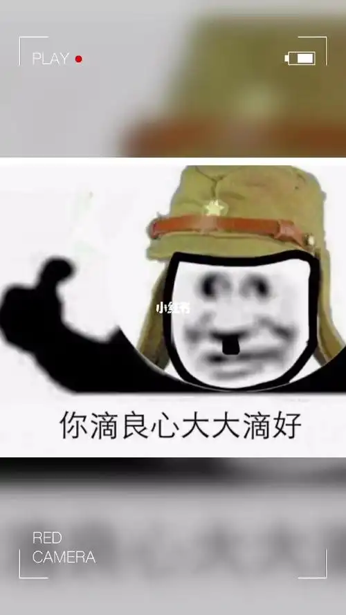 太君表情真好玩_素材_表情包