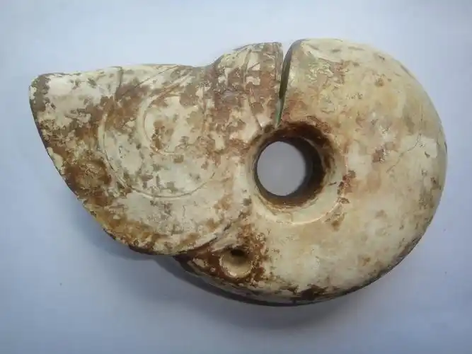 馆藏辽博红山鸡骨白玉猪龙