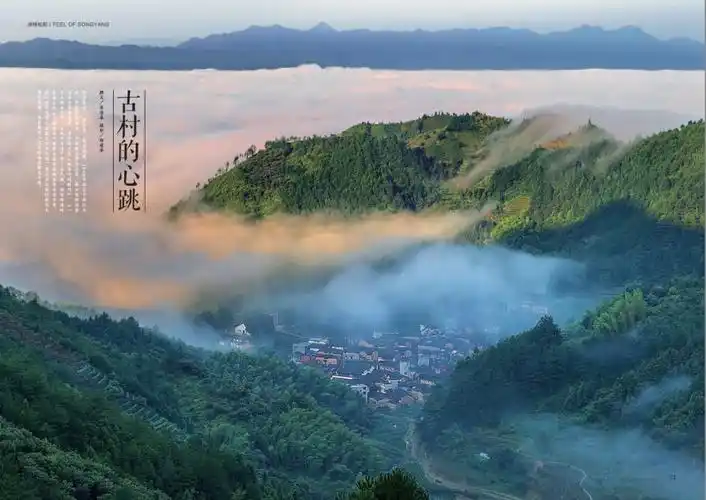 《品味松阳》no.10疯狂送,品味"慢松阳"