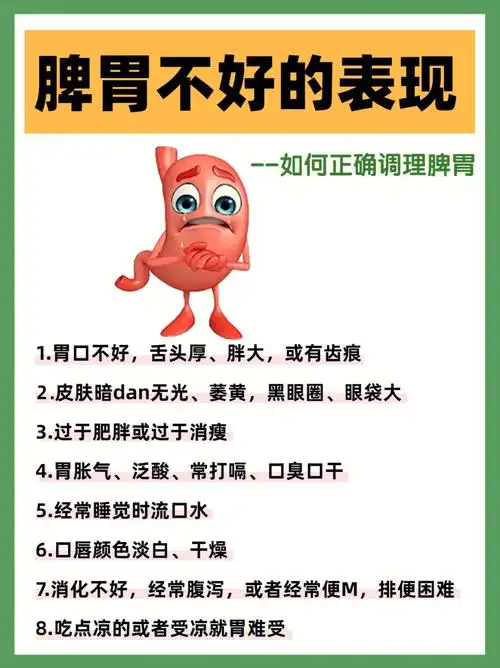 脾胃不好的表现上班族必备好物75快码住