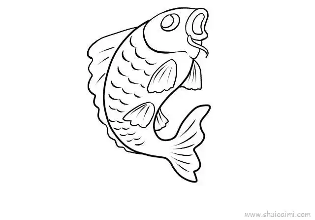 鲤鱼简笔画画法图解