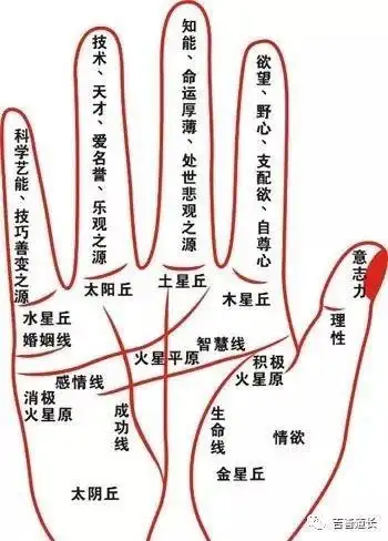 断掌纹的男人命运手相图解断掌手相不多见,每百人不及十人,其中西方人
