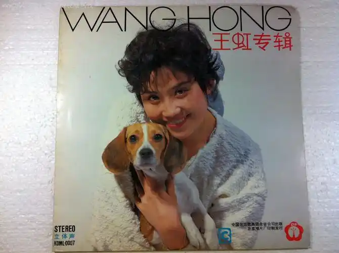 王虹《血染的风采》黑胶