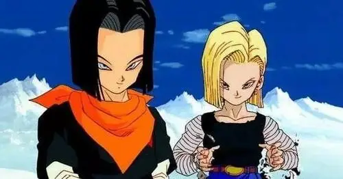 最终成为了"高富帅"的 《龙珠z》沙鲁篇中出现的人造人17号与18号 这