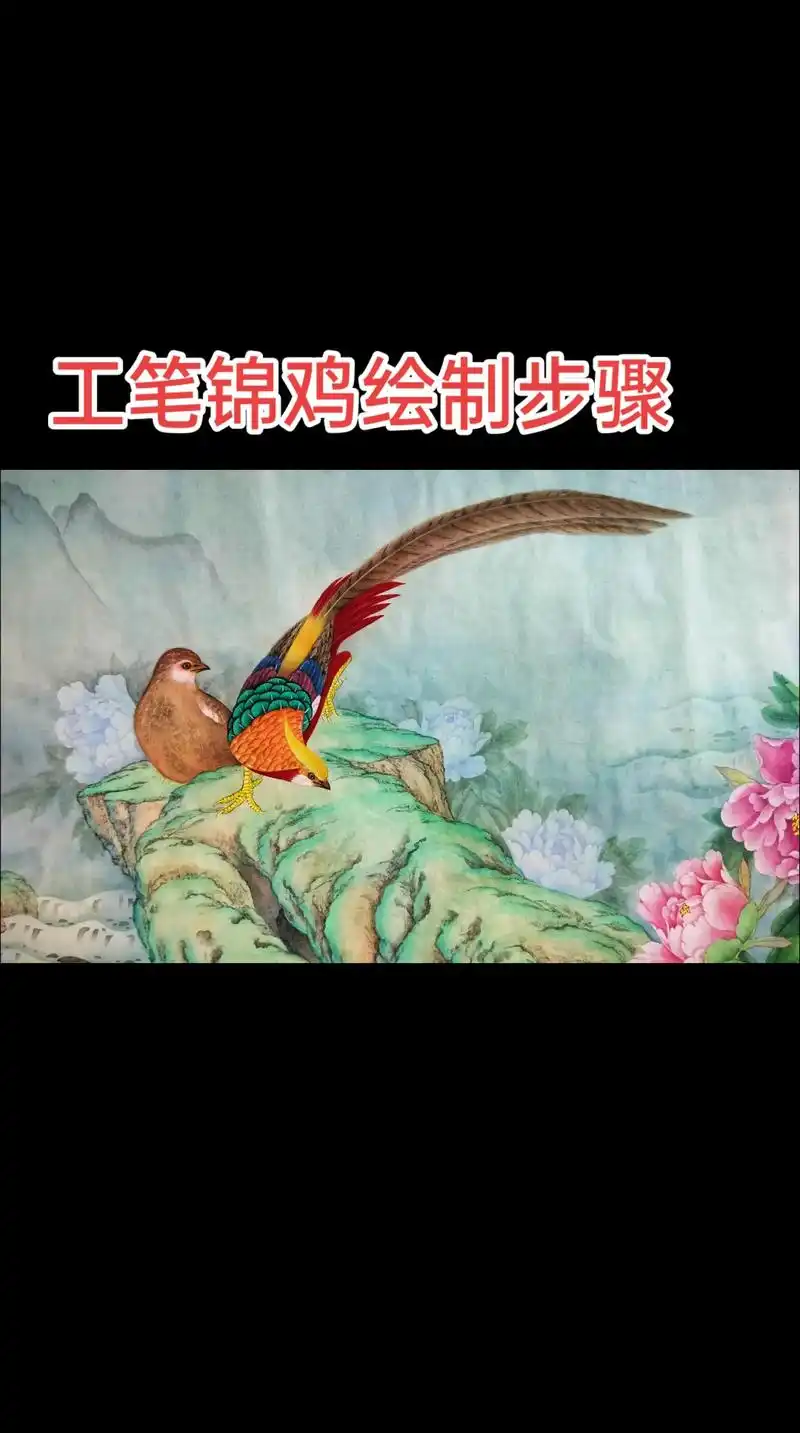 就在这样出炉的啦!工笔花鸟锦鸡手绘原创完成,#国画也抖音 # - 抖音