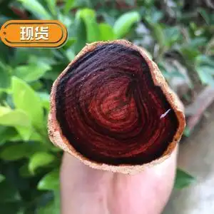 2021越南紫檀柳对眼料鬼脸纹原木木料手球料珠r子料手串佛珠料茶