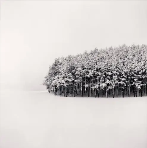 美图鉴赏|迈克尔·肯纳黑白摄影作品欣赏