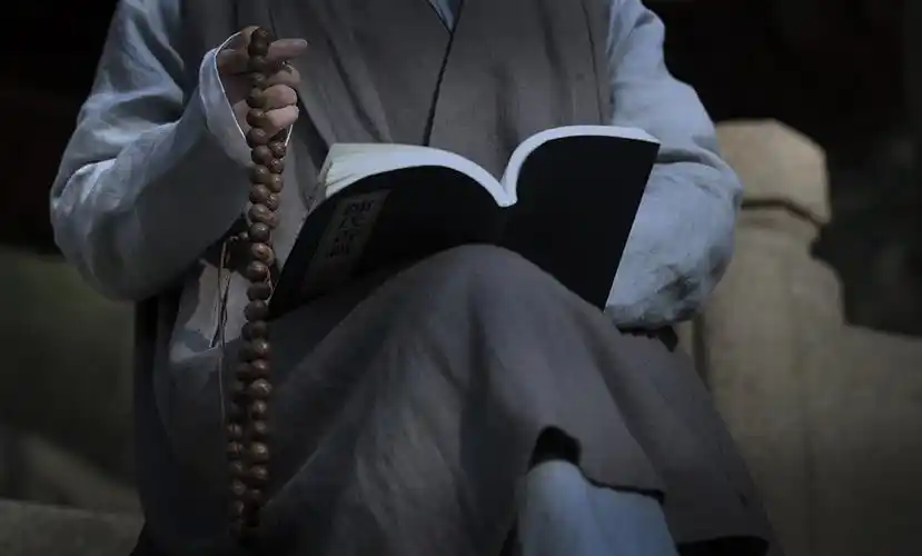 【大鹏摄影】禅意