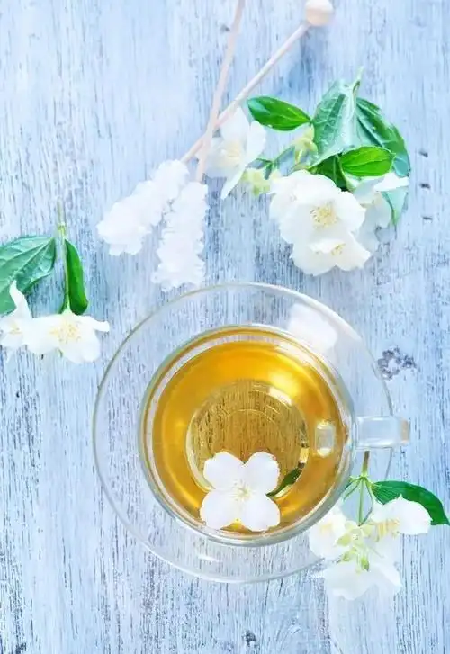 苹果韩剧大全tv多开哪个好茶叶图片唯美壁纸