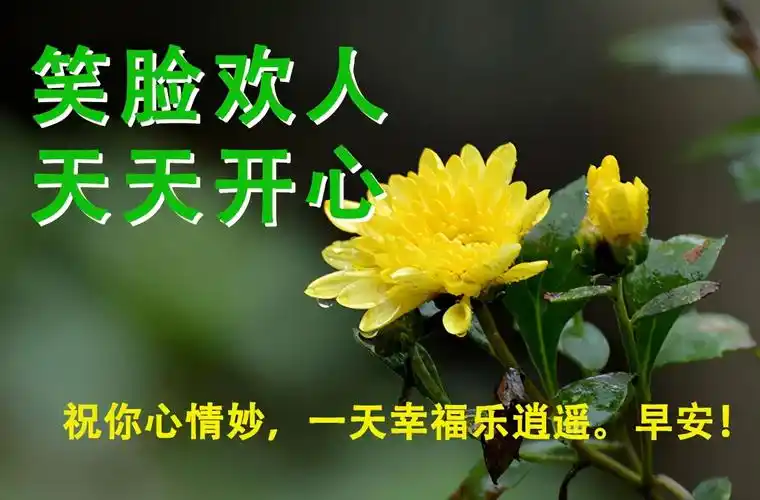 漂亮的早上好图片带字祝福语,早晨起来心情说说