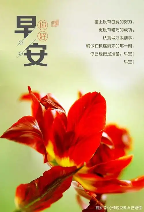 早安心语正能量图片文字句子,早安阳光的句子,越看越爱!