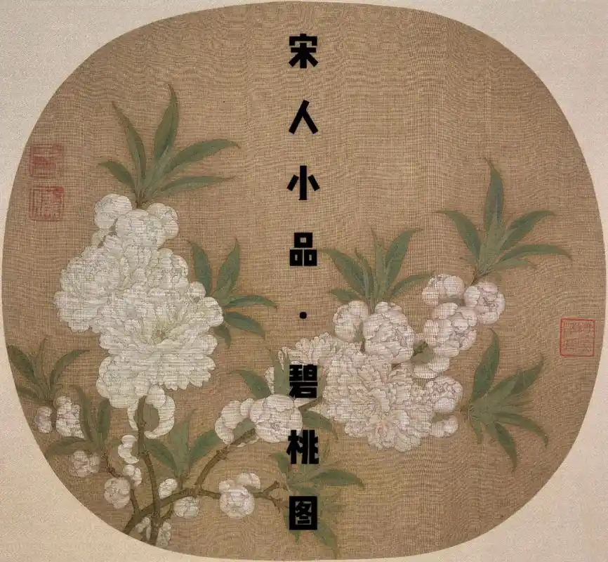 宋人小品鉴赏—花鸟篇#文化 #艺术 #中国画 #教育#传承文 - 抖音