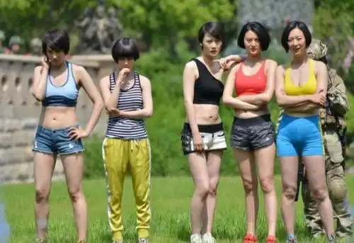 特种兵之火凤凰|军医|跑龙套_新浪新闻