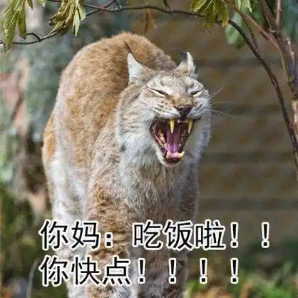 你妈:吃饭啦!你快点!