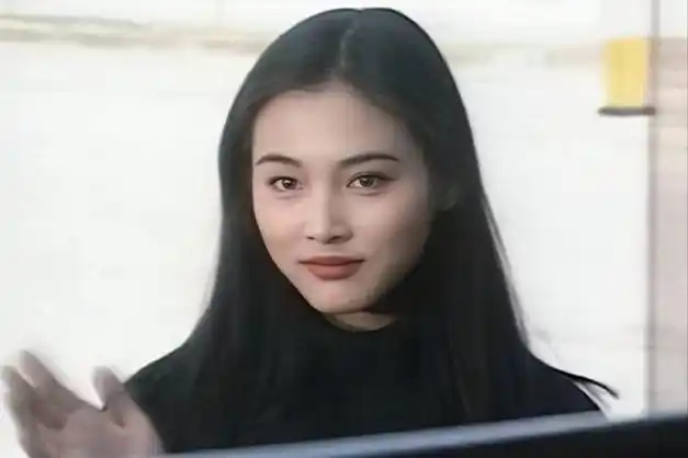 四年后,24岁的张延参演了电视剧《笑看风云》.