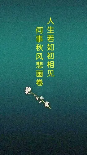 求大神分享一些文字壁纸 可以帮我制作 人生若如初相见 何事秋风悲画